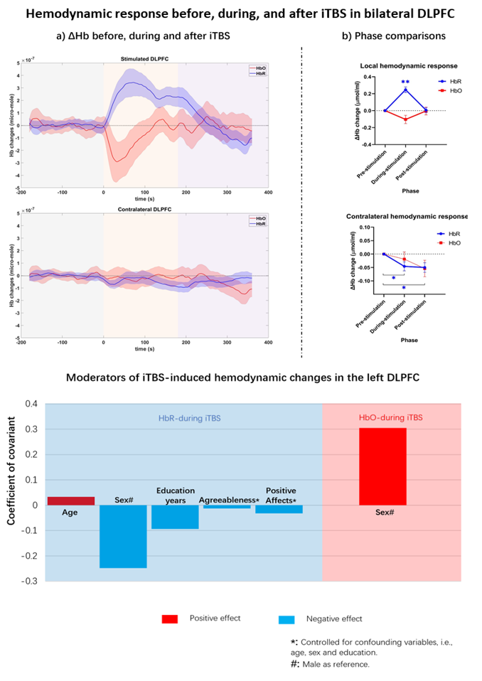 HbR increased significantly during iTBS in the stimulated DLPFC, while the contralateral DLPFC showed significant decreases in HbR during and after the stimulation. No significant change in HbO was observed. GLMM revealed that age, sex, education years, the personality trait agreeableness, and positive affect significantly influenced local HbR response during iTBS, and sex significantly influenced local HbO response during iTBS