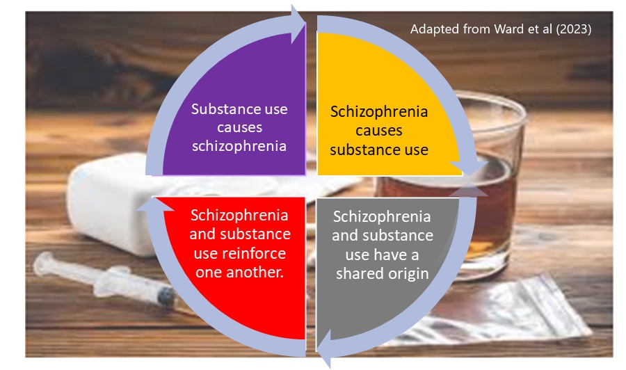 Hypotheses for the relationship between substance use and schizophrenia.