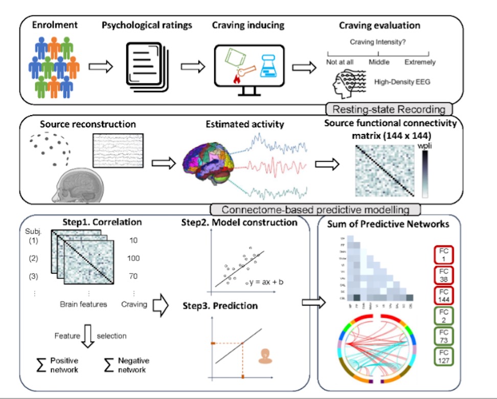 The top row illustrates the data collection process, including participant screening, neuropsychological assessments, craving evaluations, and rs-EEG acquisition. The middle row demonstrates the rsEEG analysis pipeline, covering source localization from preprocessed EEG signals. The distinct EEG source functional connectivity matrices across different frequency bands are processed separately. The bottom row presents an adaptation of CPM process, detailing the model building up from connectivity matrix to the final predictive model and the visualization of the identified connectivity patterns.