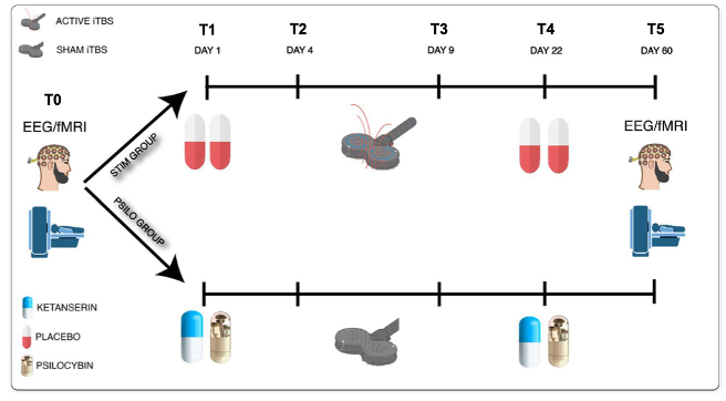The image describe the study design