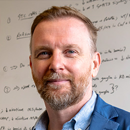 Paul Kenny